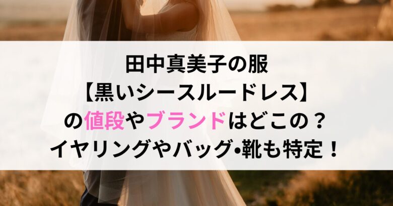 田中真美子の服 【黒いシースルードレス】 の値段やブランドはどこの？ イヤリングやバッグ•靴も特定！
