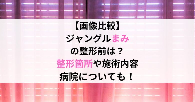 【画像比較】 ジャングルまみ の整形前は？ 整形箇所や施術内容 病院についても！